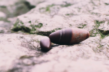 close up of Shiva Lingam