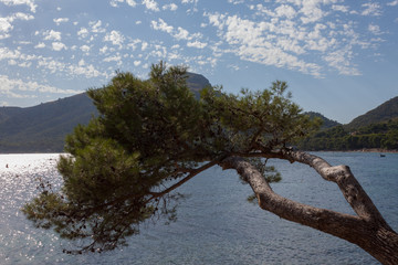 Fototapeta premium Majorque - Formentor