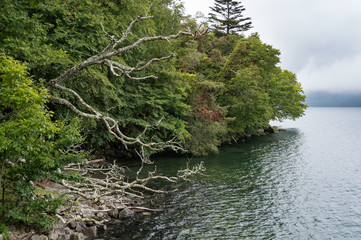 中禅寺湖の湖畔