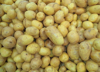 pile of washed new crop potatoes