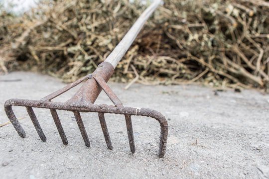 The rake is rusty