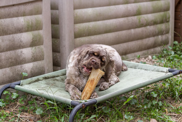 Fototapete bei efototapeten.de bestellen   