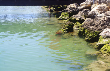 Water near jetty with rocks