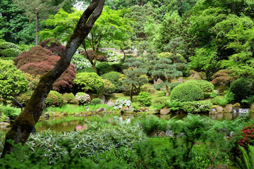 Japanese Garden