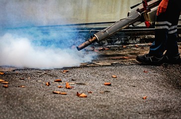 Health officials are spraying the mosquito-bred mosquitoes to prevent blood-borne diseases.