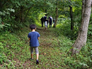 森で昆虫採集をする男の子