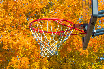 Fall Ball