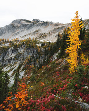 autumn in the mountains