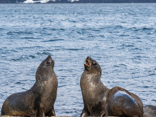 Fototapeta premium OLYMPUS DIGITAL CAMERA