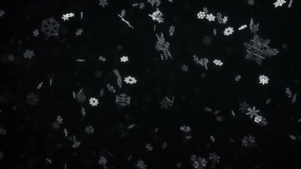 Close up of falling white snowflake