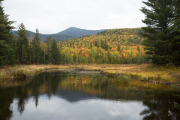 Colorful fall foliage around Stratton Brook Pond, Maine.