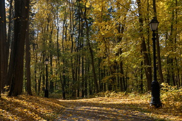 Золотая осень  в старинном парке.