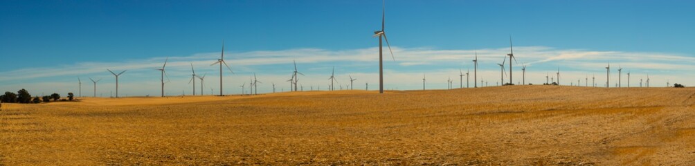 Field of wind turbines in northern California