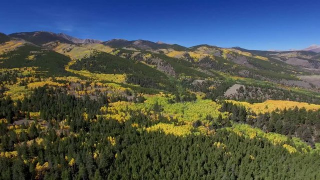 Aerial drone footage of fall foliage aspen trees and leaves changing in Colorado Rockies forest (multiple views)