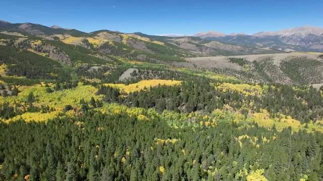 Aerial drone footage of fall foliage aspen trees and leaves changing in Colorado Rockies forest (multiple views)