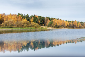 Autumn forest lake reflection landscape