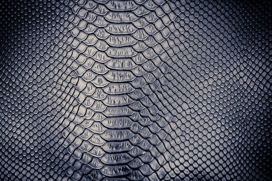 Luxury snake skin texture