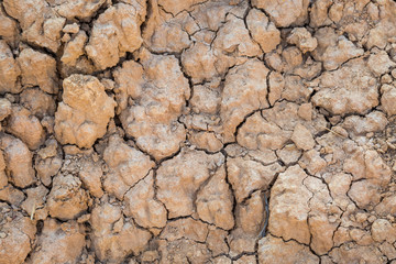 Background of Dry cracked soil during drought