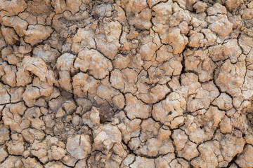 Background of Dry cracked soil during drought