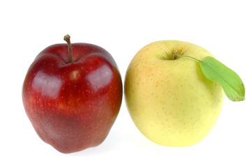 close up on red delicious and golden delicious apples isolated on white background