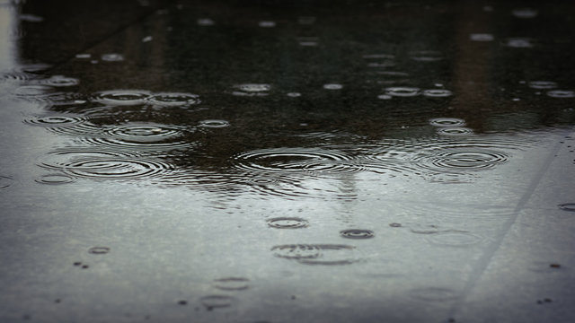 Splashes And Raindrops In A Puddle