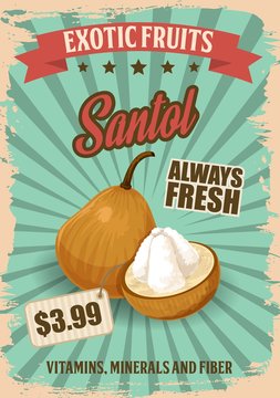 Exotic fruit santol retro poster with tropic food