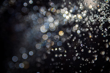 bokeh of water fly and lights on black background,