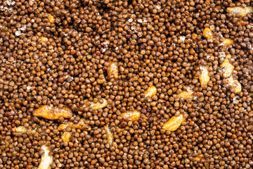 close up of honey with perilla sesame background