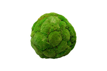 Moss on a round stone