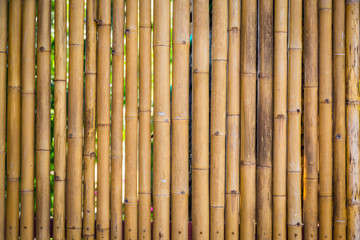 Nature bamboo fence