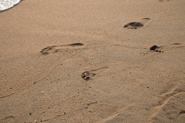 Foot print of father and child on the beach
