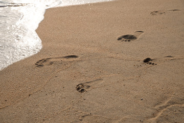 Foot print of father and child on the beach