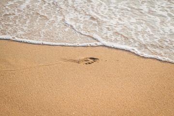 Fototapeta na wymiar Foot print of child on the beach