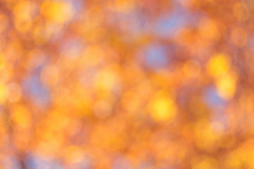 Large sunny background. Bokeh from orange, yellow and blue circles.