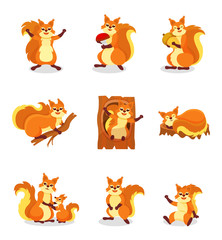 Set of cute red squirrel in different actions. Small forest rodent. Wild animal. Isolated flat vector illustrations © Happypictures