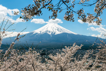 Mount Fuji.Foreground is a cherry blossoms.The shooting location is Fujiyoshida City, Yamanashi Prefecture, Japan.