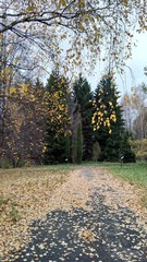 Obraz premium Переславль- Залесский