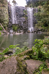 Nature in Kerikeri, New Zealand: mossy rocks and ferns at Wairoa Stream (Te Wairere) waterfall, Northland, North Island, NZ