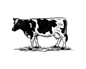 Hand Drawing Vector Livestock Cow or Cattle Farm Animal Sign Symbol Icon Logo Template Design Inspiration
