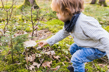 baby playing on a forest path in autumn