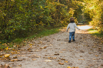 baby playing on a forest path in autumn