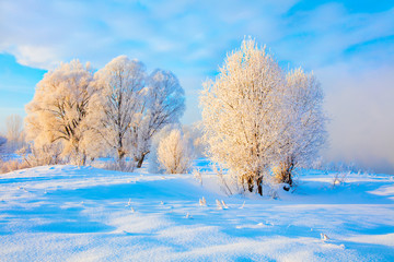 Winter landscape. Cold day.