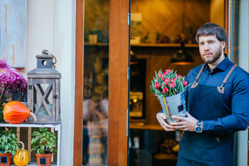 Portrait of handsome business man florist with Flowers bouquet of red tulips in bucket standing on...
