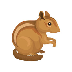 Chipmunk wild rodent animal vector Illustration on a white background