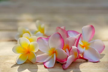 Poster Yellow and pink plumeria flower on wooden board background, copy space © sundaemorning