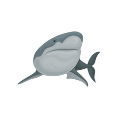 Shark sea animal fish, side view vector Illustration on a white background