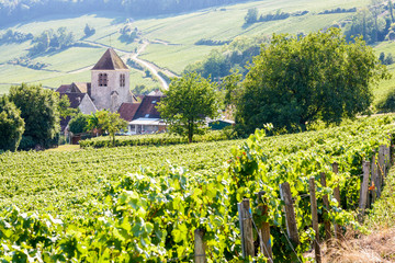 Fototapeta na wymiar View over the small village of Bonneil, France, and its medieval steeple in the Champagne vineyard with rows of grapevine in the foreground and on the hillside in the background.