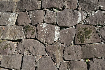 Japanese castle stone wall (texture)