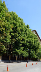 repair of the road in the city