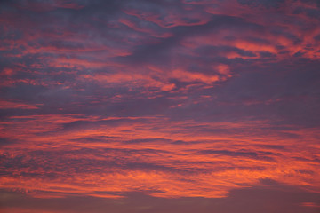 sunset purple sky